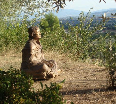 Franciscus van Assisi  © Barbara Mertens