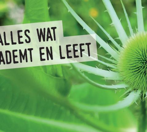 Ecokerk vraagt aandacht voor biodiversiteit © Ecokerk NRV