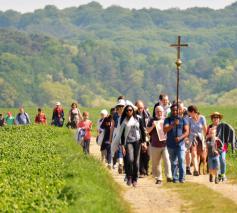 Voetbedevaart naar Basse-Wavre © Pastorale zone Leuven aan de Dijle