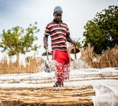 “Stromen levend water leg ik voor u aan in de woestijn.” (Jesaja 43) In Senegal vechten kleine boeren tegen de droogte. Met de hulp van Broederlijk Delen.  © Broederlijk Delen, Thomas De Boever