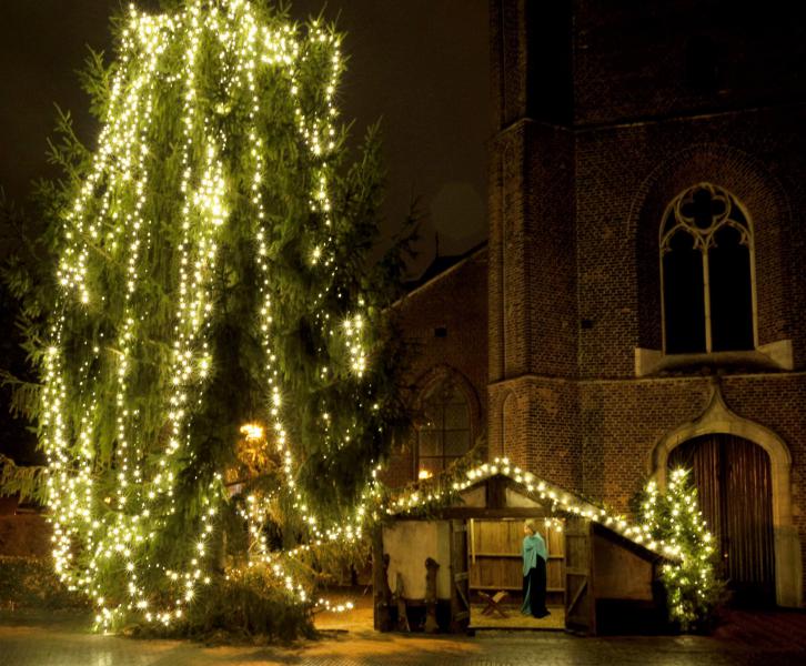 De kerststal in Oevel 