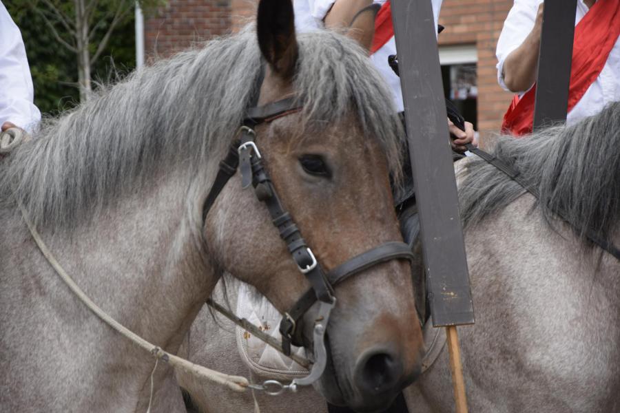 Ruiters met dorpsnamen 