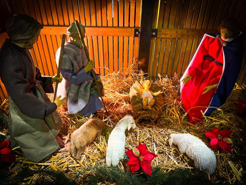 Kerststalletje in Sint Martinus © Chris De Groote