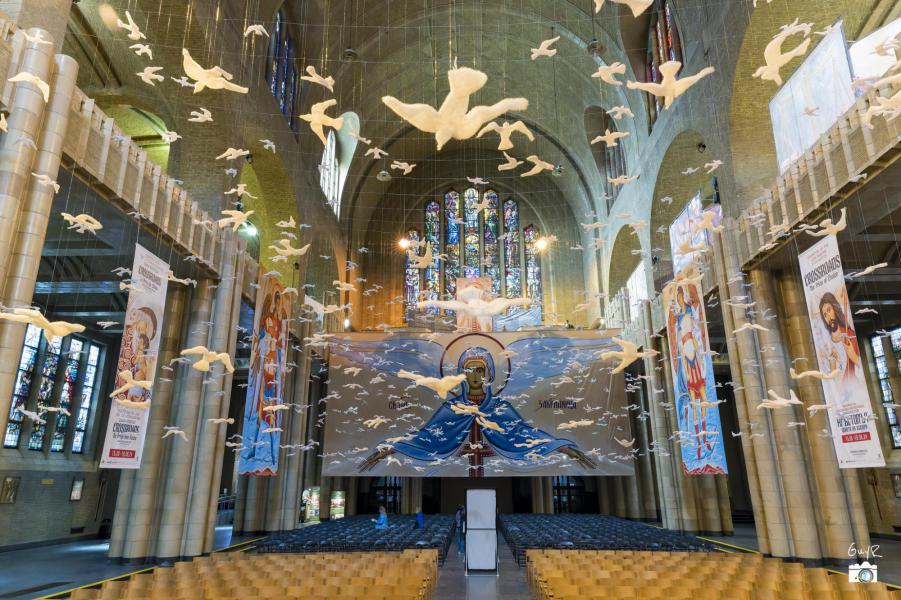 Duizenden vogels vullen het luchtruim van het schip van de kerk © Vicariaat Brussel