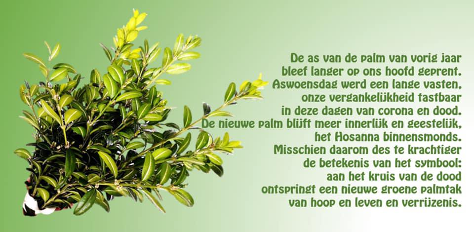 Palmzondag in tijden van Corona 