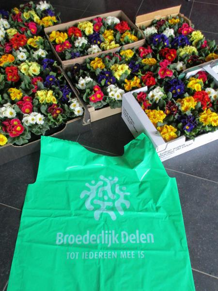 Bloemenverkoop door  vormelingen Rooierheide 