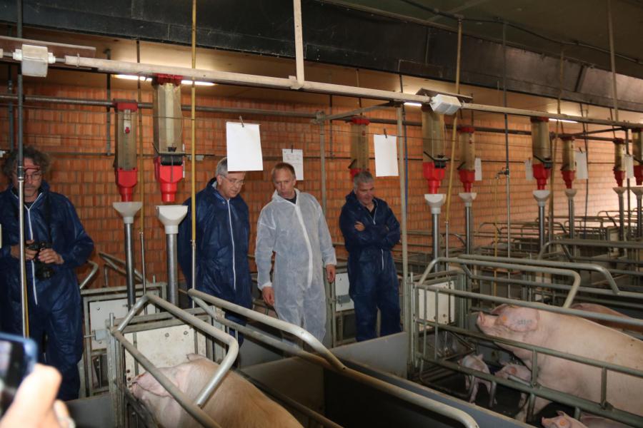 Bezoek aan de gesloten varkenskwekerij van Johan Elst © Demey-Elst