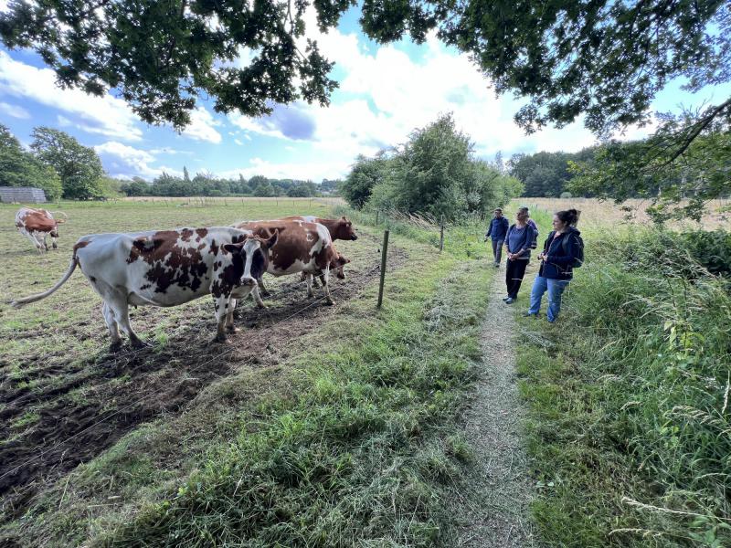 4 juli, Wandeltocht naar vlooybergtoren met Karin, Frieda, Ferry, Vanessa © Chris De Groote