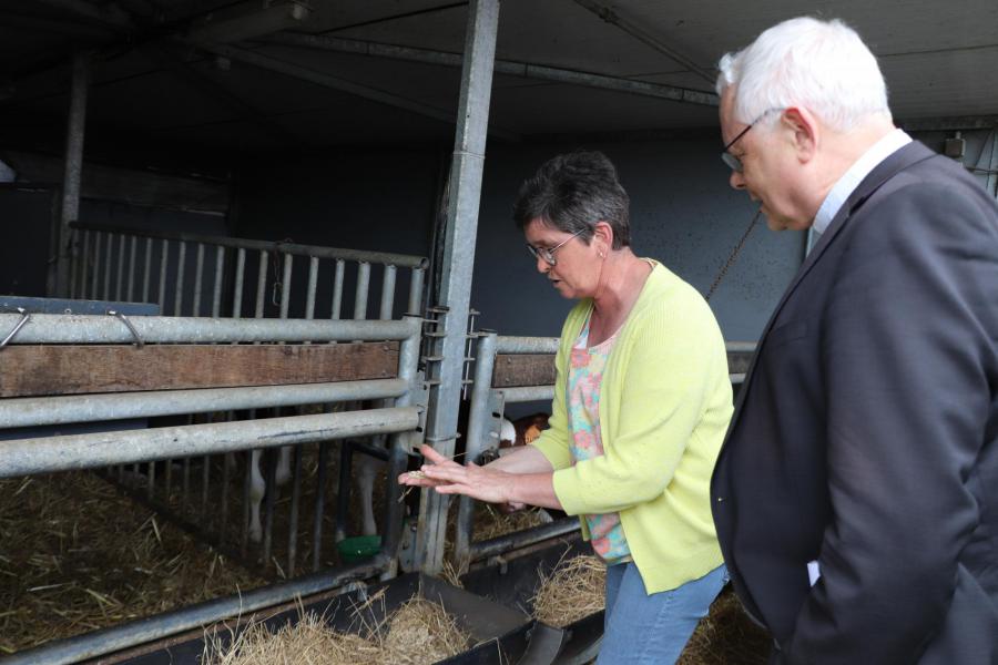 Het voeder voor de dieren wordt op eigen grond geteeld © Jente Vandewijer