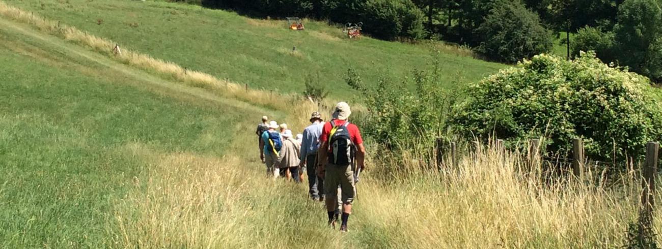 Wandelbezinning "de reis van je hoofd naar je hart" ©  Diocesane werkgroep pelgrimspastoraal