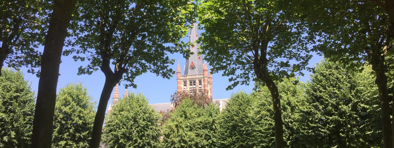 Basiliek vanuit het rosarium © bedevaartsoord