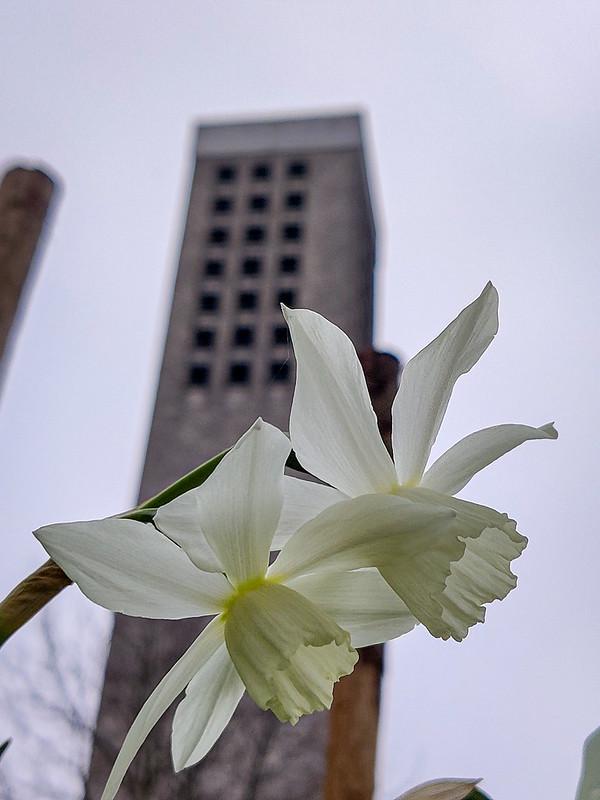 Lente in de Hemelse Gaarde © HopParochie Sint-Benedictus