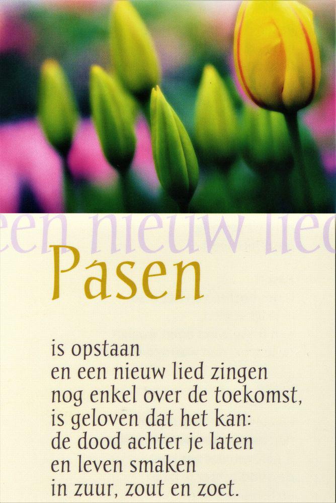 Pasen-2 