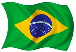 Braziliaanse vlag 