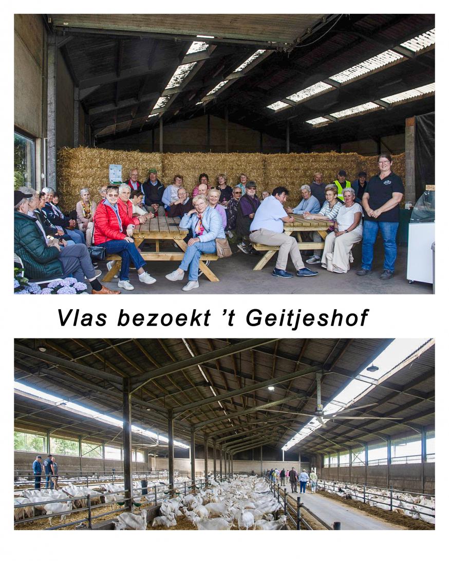 Vlas bezoekt geitenboerderij 