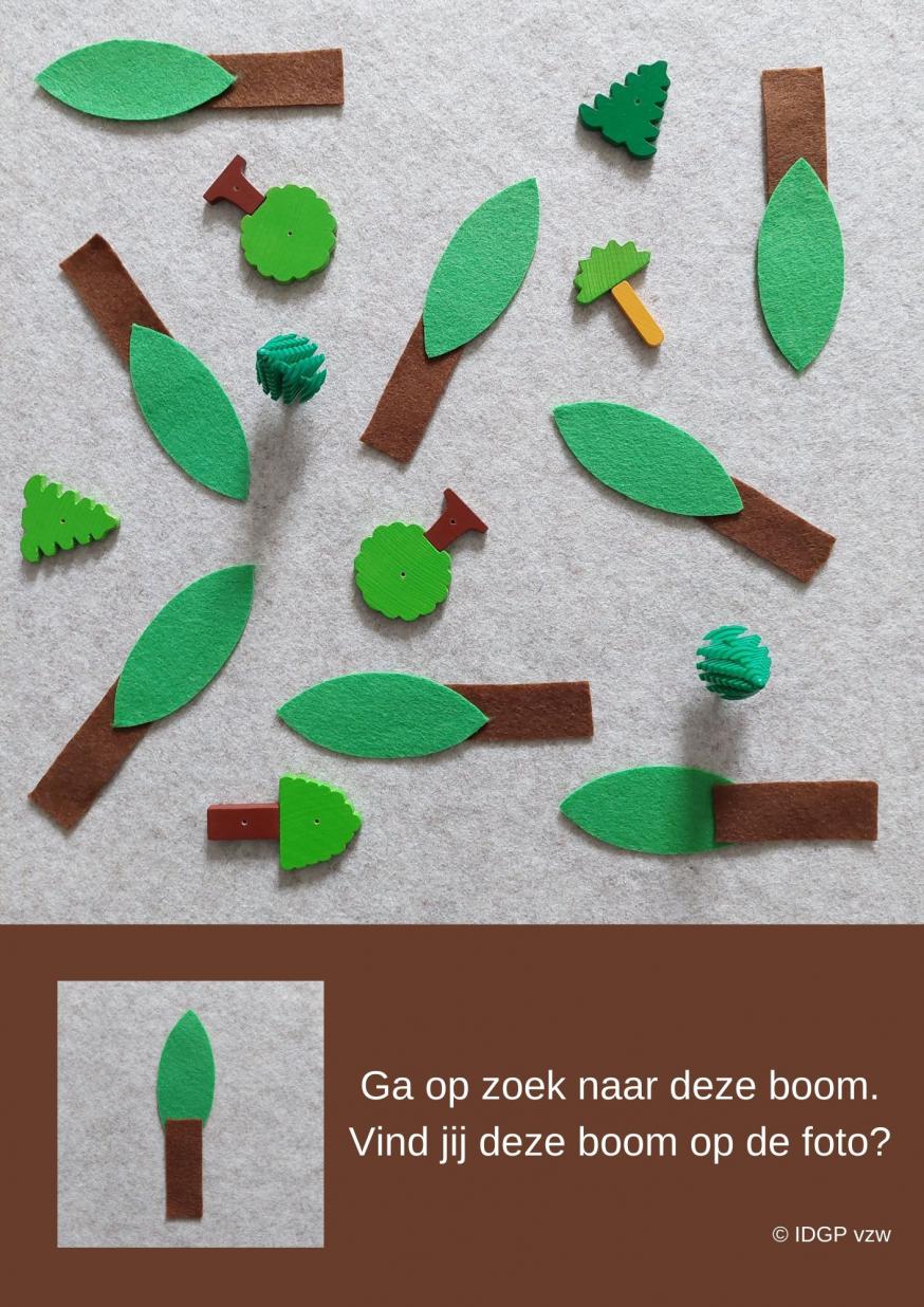 Zoekplaat 'bomen' © IDGP vzw