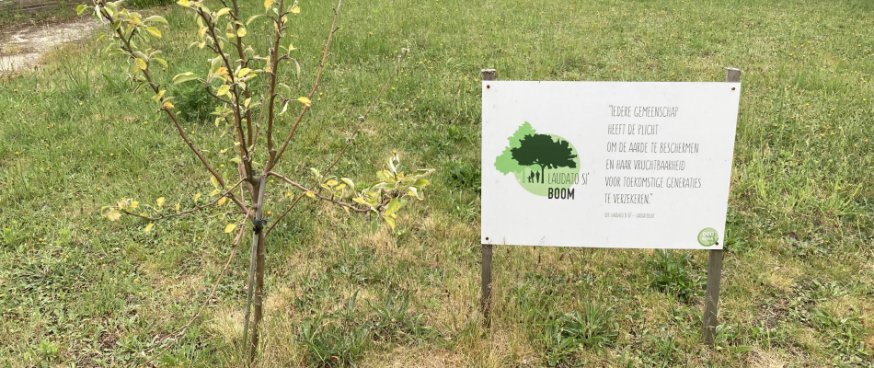 Boomplantactie van een Laudato Si'-boom in de H. Bavoparochie 