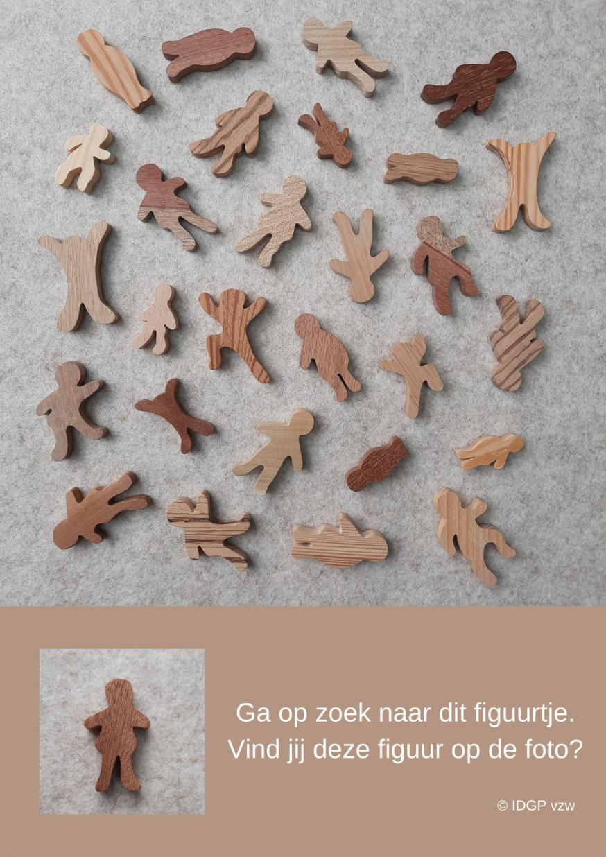 Zoekplaat 'figuren' © IDGP vzw